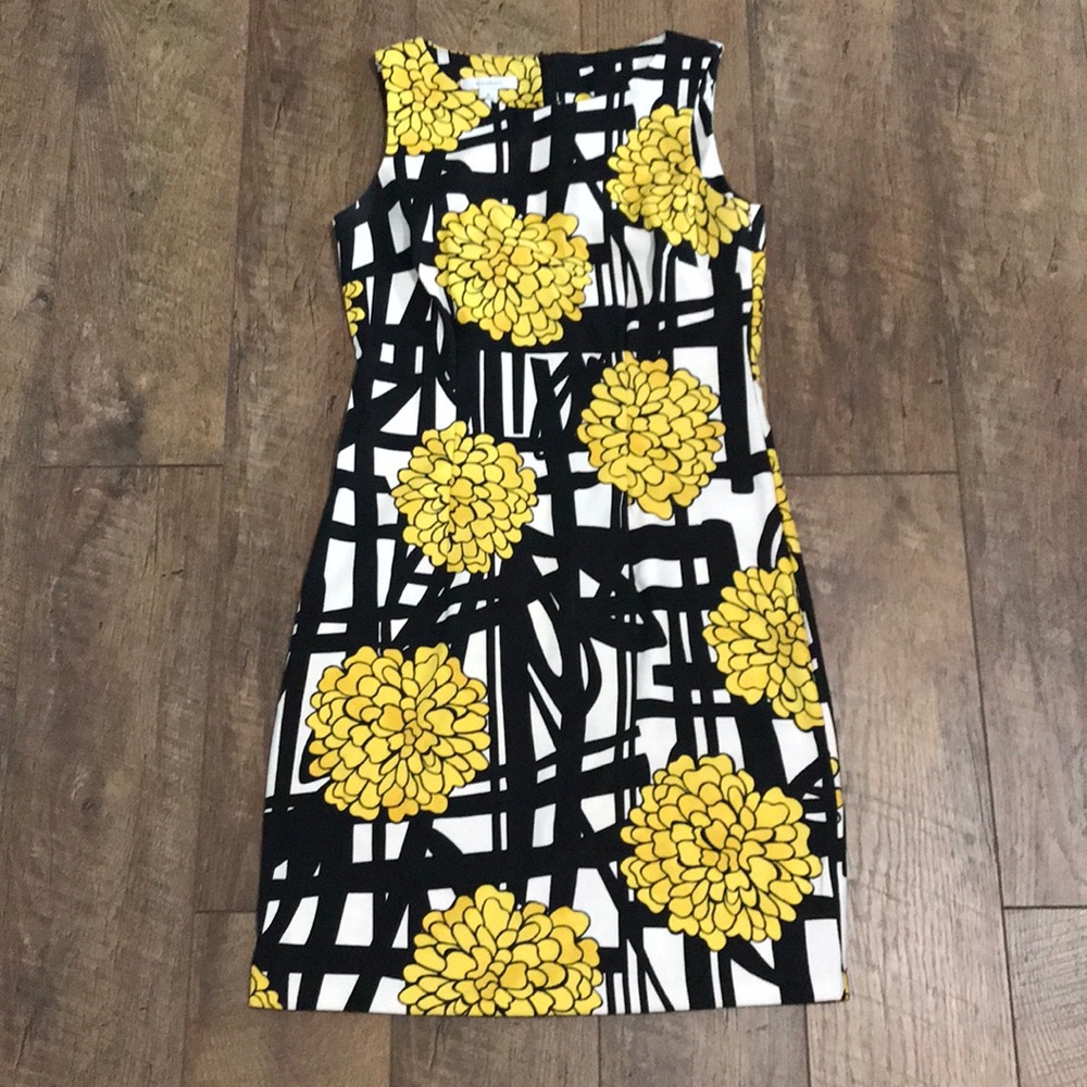 Dress Barn Sheath Dress